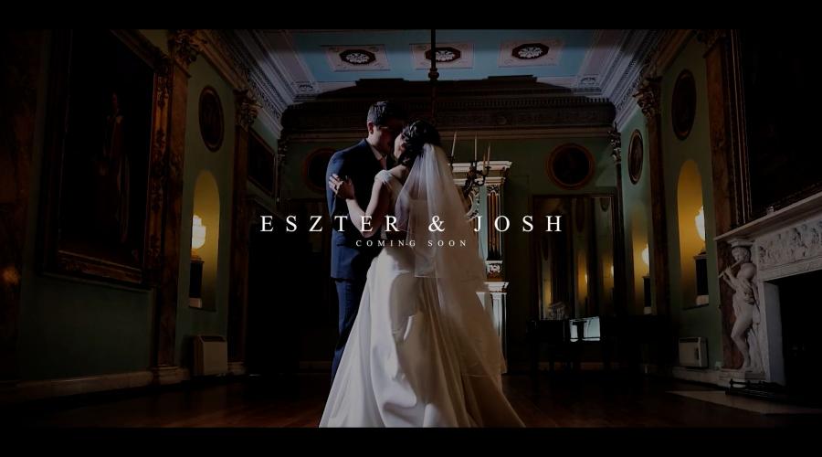 The Wedding of Eszter and Josh