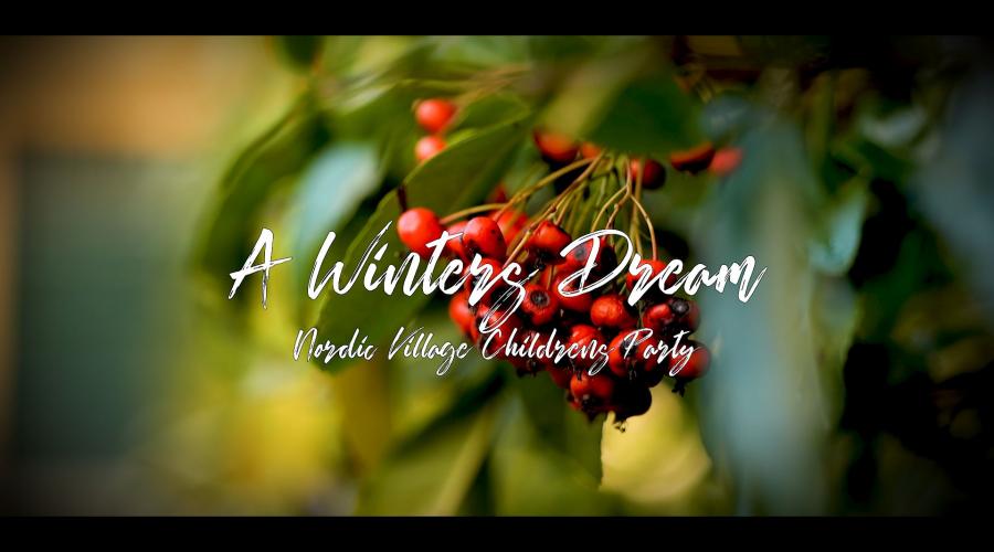 Winter Dreams - Holbrook Manor, Somerset